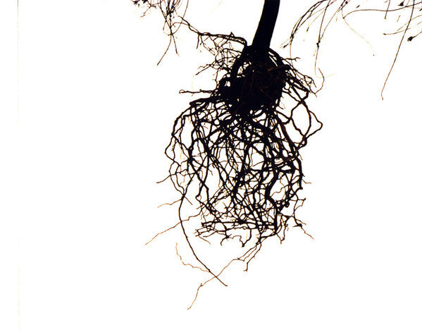 AFI : Decemberunderground (CD, Album, Ltd)