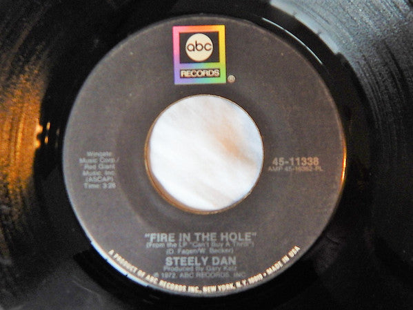 Steely Dan : Do It Again / Fire In The Hole (7", Single, PL)