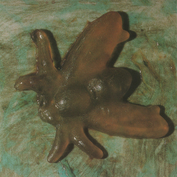 Dinosaur Jr* : Bug (CD, Album)