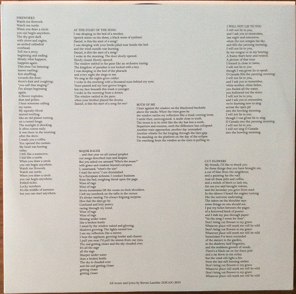 Steven Lambke* : Dark Blue (LP, Album)