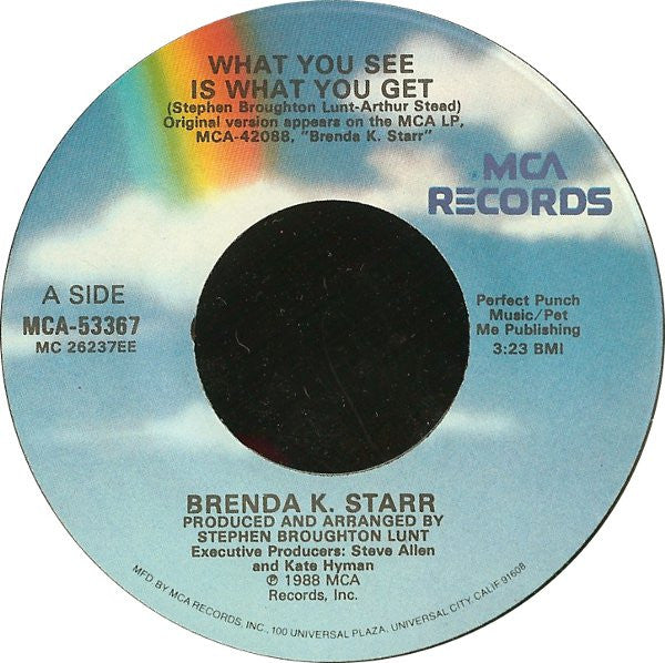 Brenda K. Starr : What You See Is What You Get (7", Single)