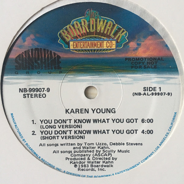 Karen Young : You Don't Know What You Got (12", Promo)