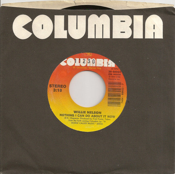 Willie Nelson : Nothing I Can Do About It Now / If I Were A Painting (7", Styrene, Car)