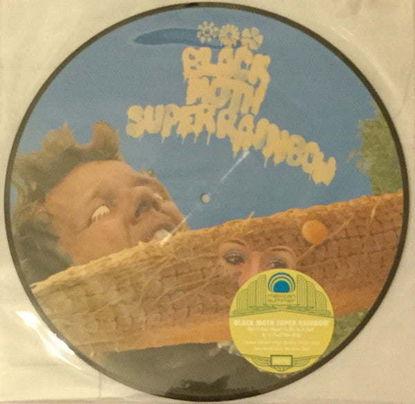 Black Moth Super Rainbow : Don't You Want To Be In A Cult b/w Feel The Drip (12", Single, Ltd, Num, Pic)