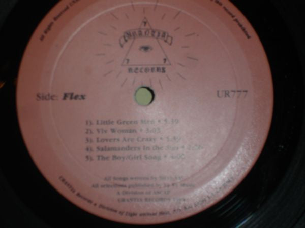 Steve Vai : Flex-Able (LP, Album, 1st)