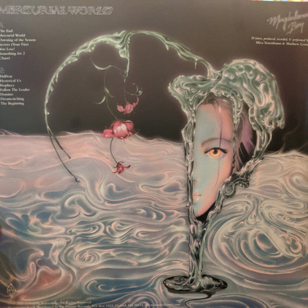 Magdalena Bay : Mercurial World (LP, Album)