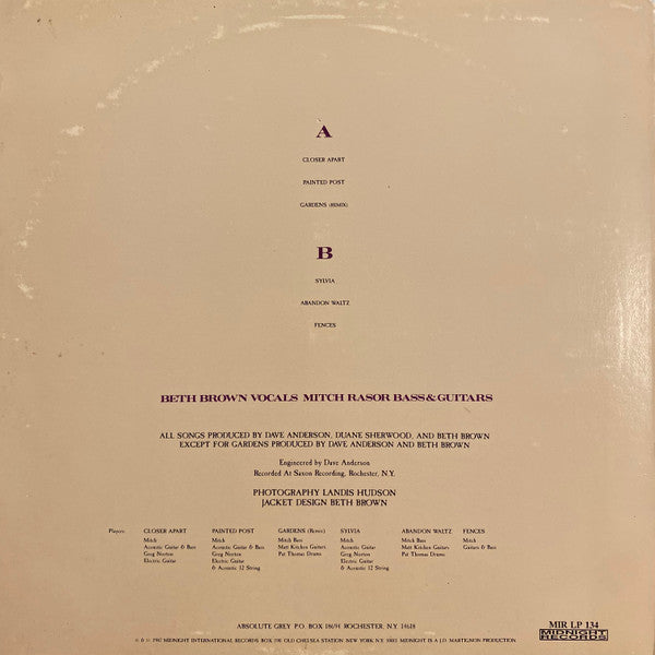 Absolute Grey : Painted Post (12", EP)