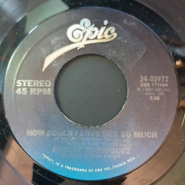 Johnny Rodriguez (4) : How Could I Love Her So Much (7", Styrene, Car)