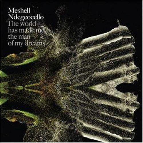 Meshell Ndegeocello* : The World Has Made Me The Man Of My Dreams (CD, Album)