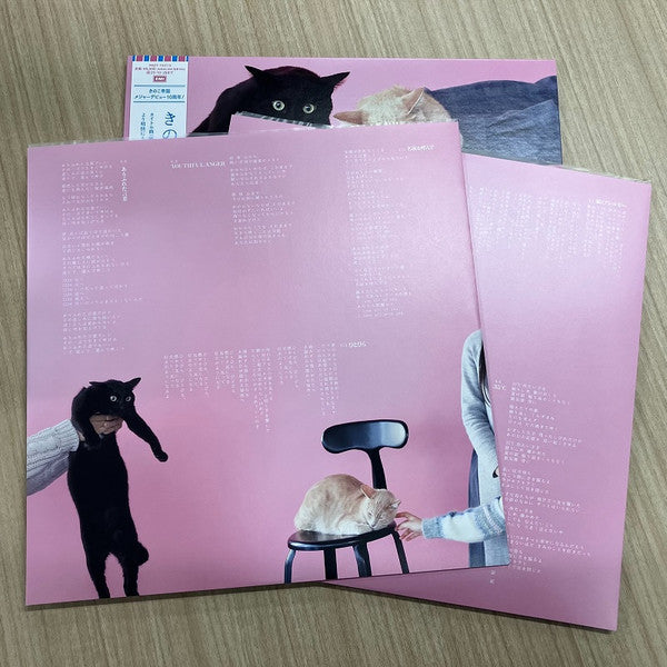 きのこ帝国* : 猫とアレルギー (2xLP, Album, Ltd, RE, Gat)
