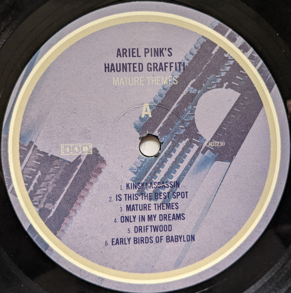 Ariel Pink's Haunted Graffiti : Mature Themes (LP, Album)