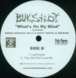 Bukshot : What's On My Mind (12", Promo)