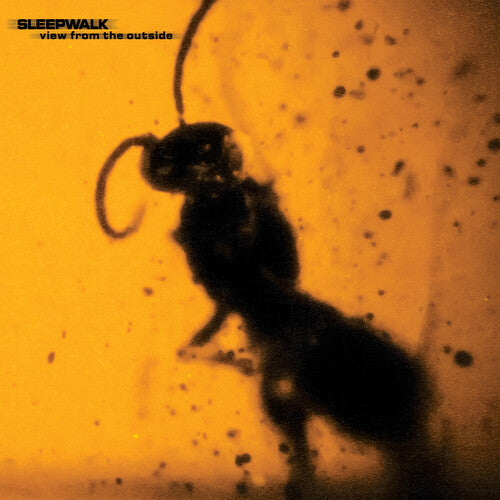 View From the Outside Cover Art