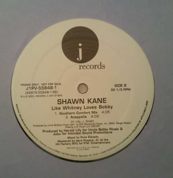 Shawn Kane : Like Whitney Loves Bobby (12", Promo)