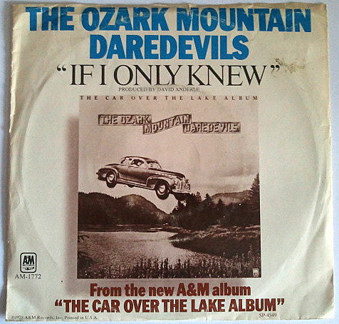 The Ozark Mountain Daredevils : If I Only Knew (7")