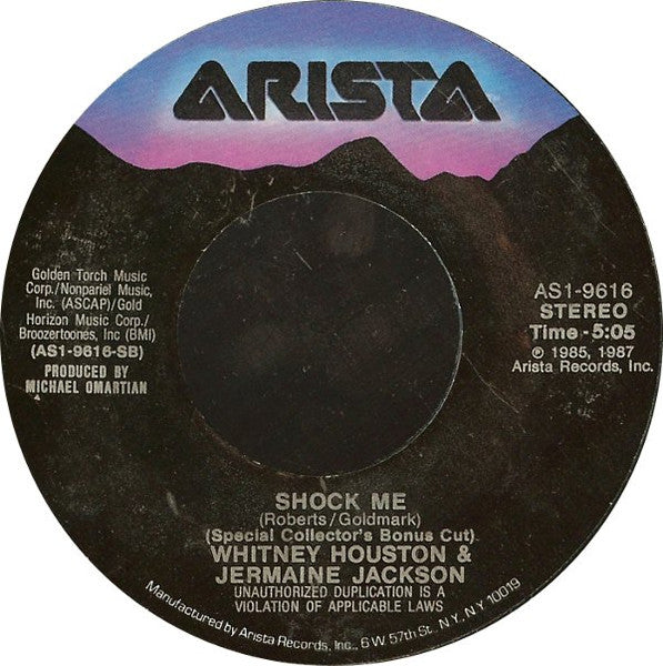 Whitney Houston : Didn't We Almost Have It All (7", Single)