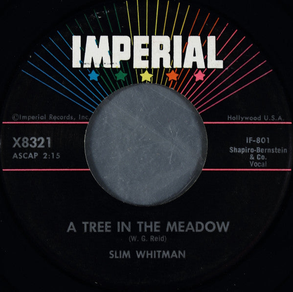 Slim Whitman : What Kind Of God (Do You Think You Are) (7")