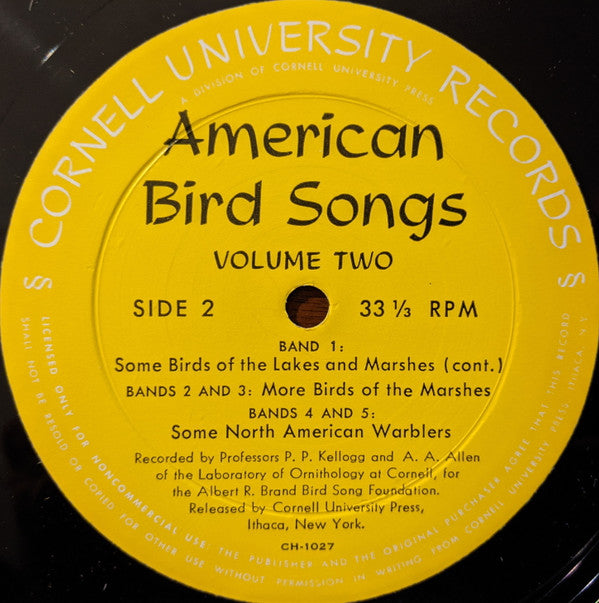 Professor A. A. Allen*, Professor P. P. Kellogg* : American Bird Songs - Volume Two (LP)
