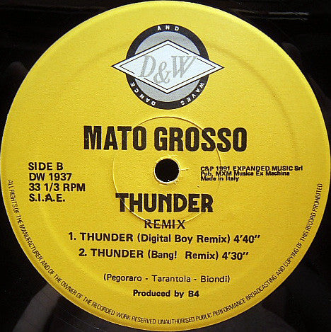 Mato Grosso : Thunder (Remix) (12")