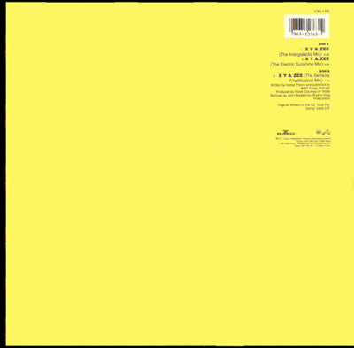 Pop Will Eat Itself : X Y & Zee (12", Single)