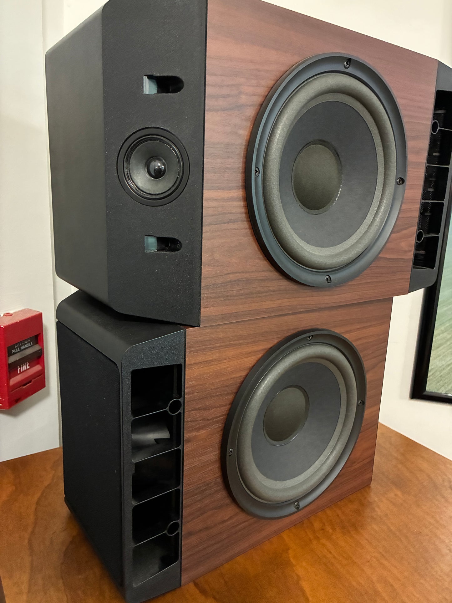 Bose 301 Series IV speakers