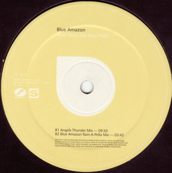 Blue Amazon : And Then The Rain Falls (12", Single)