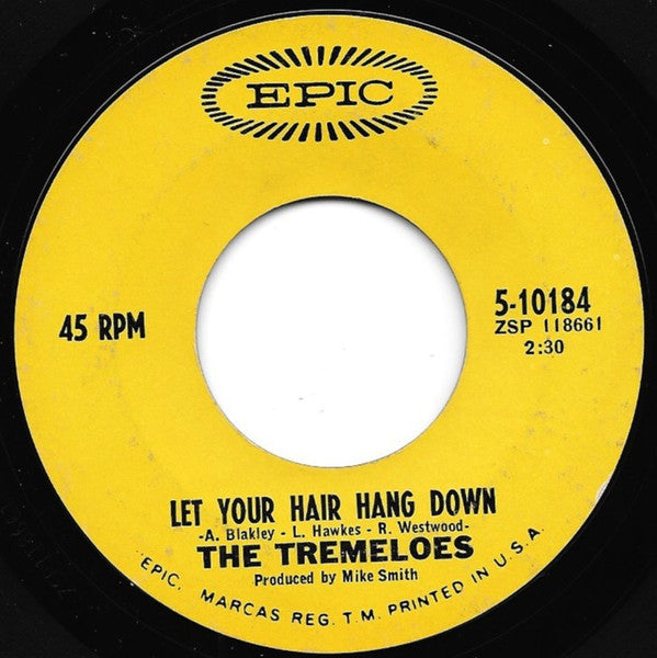 The Tremeloes : Silence Is Golden (7", Single, Ter)