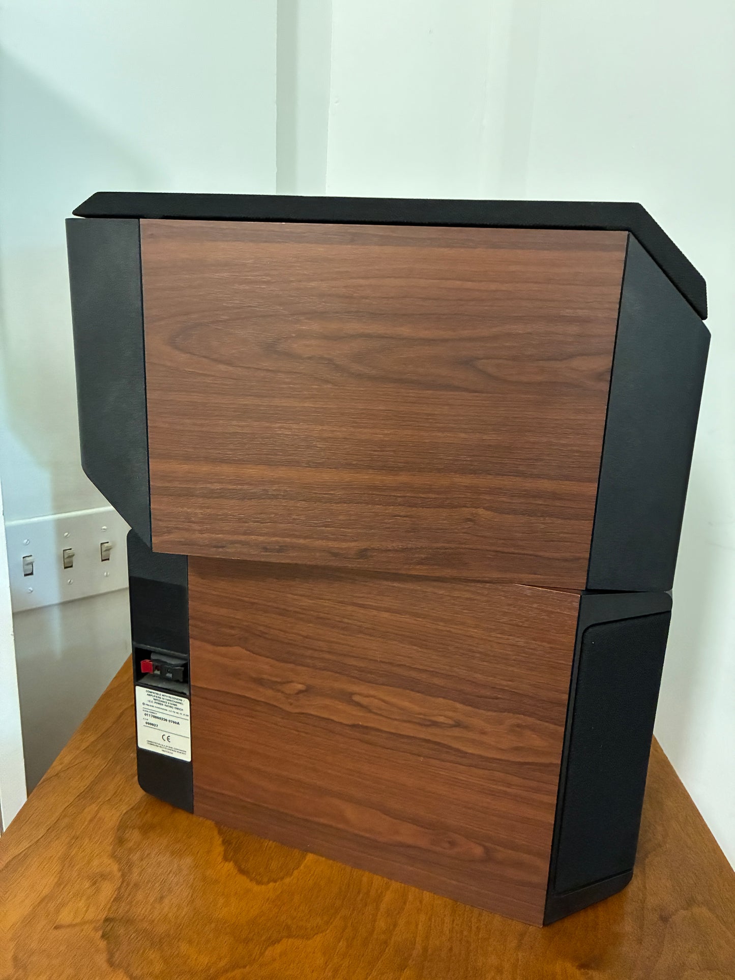 Bose 301 Series IV speakers
