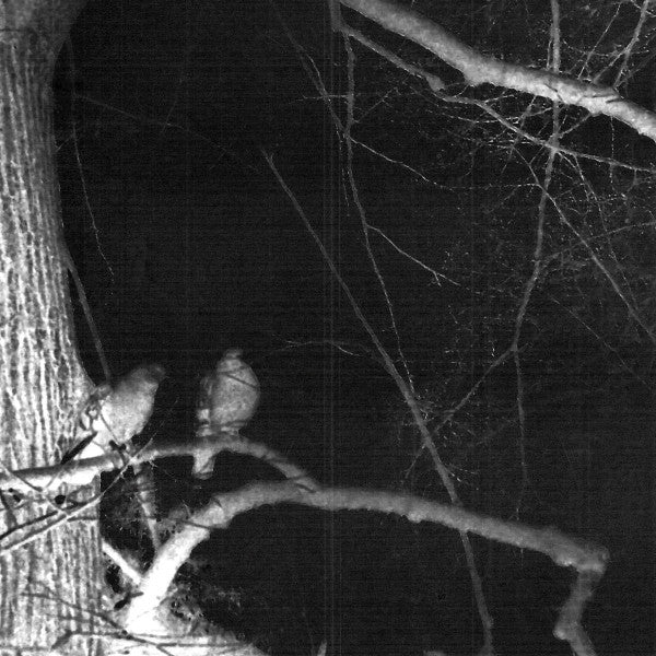 Nära Livet : Au Seuil De La Nuit (Cass, Ltd, Num)