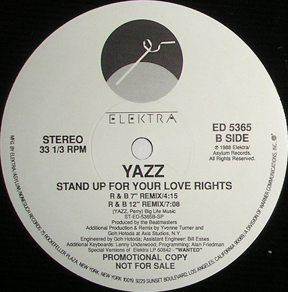 Yazz : Stand Up For Your Love Rights (12", Promo)