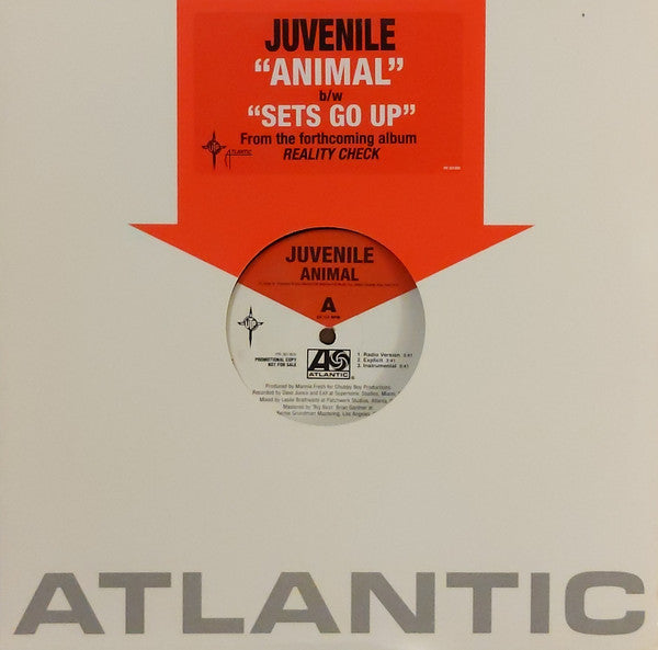 Juvenile (2) : Animal / Holla Back (12", Promo)