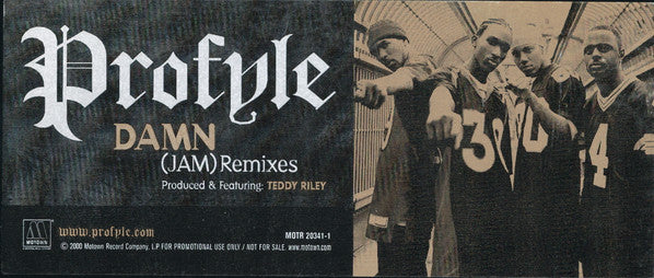 Profyle : Damn (12", Promo)