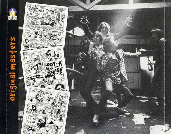 Flamin Groovies* : Teenage Head (CD, Album, RE, RM)