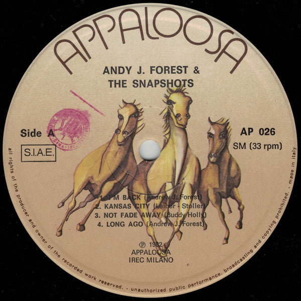 Andy J. Forest and The Snapshots (2) : Andy J. Forest & The Snapshots (LP, Album)