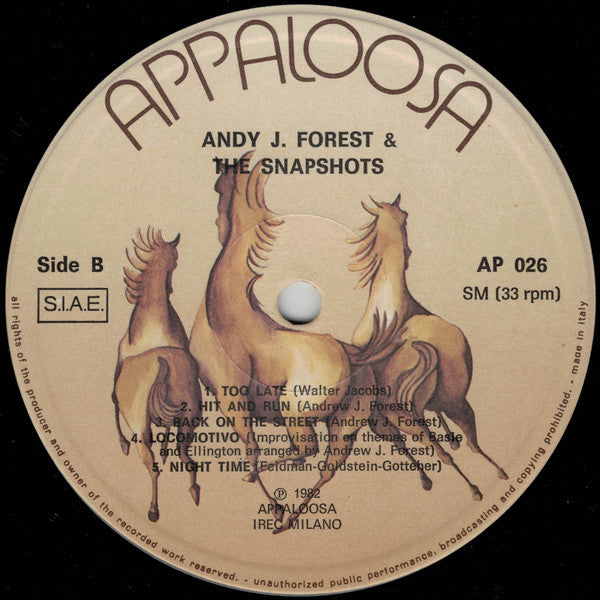 Andy J. Forest and The Snapshots (2) : Andy J. Forest & The Snapshots (LP, Album)