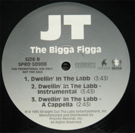 JT The Bigga Figga : Put Yo Mack Hand Down / Dwellin' In The Labb (12", Promo)