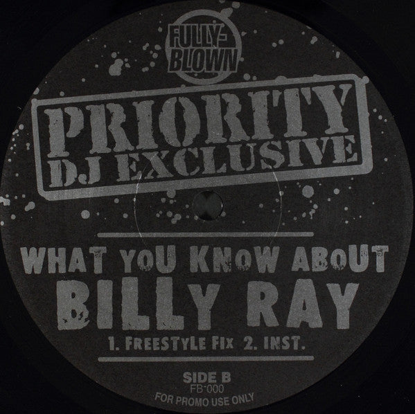 Billy Ray (4) : What You Know About (12", Promo)