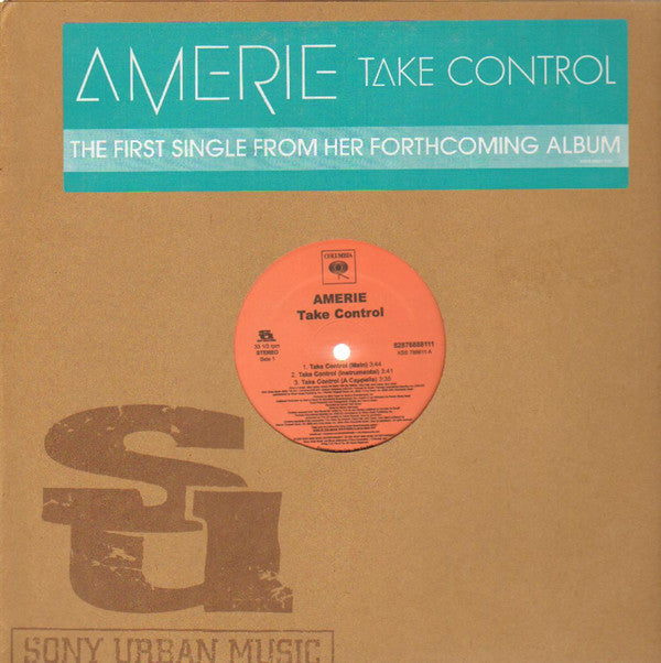 Amerie : Take Control / That's What U R (12", Promo)