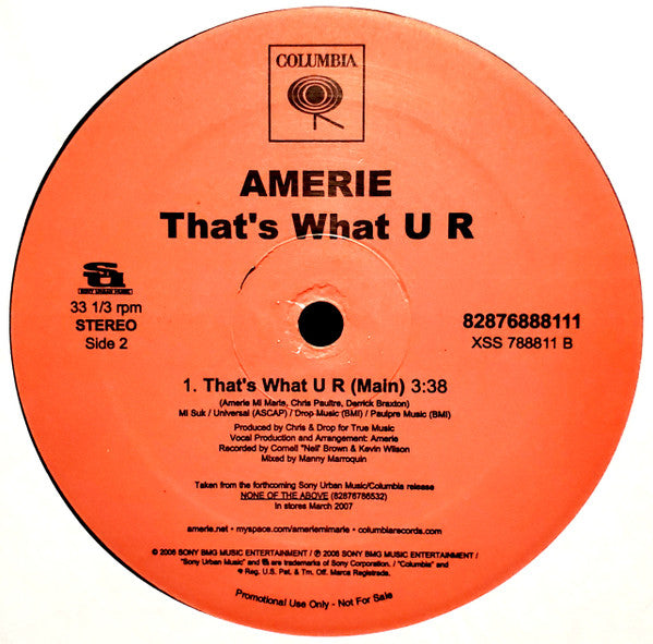 Amerie : Take Control / That's What U R (12", Promo)