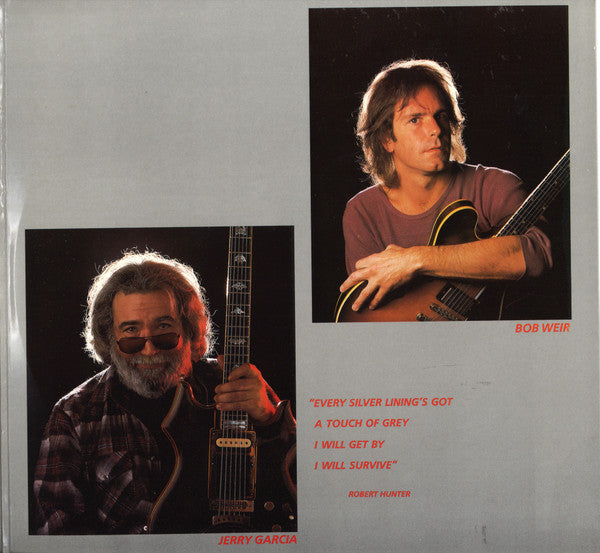 Grateful Dead* : In The Dark (LP, Album, Hau)
