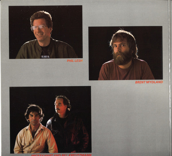 Grateful Dead* : In The Dark (LP, Album, Hau)