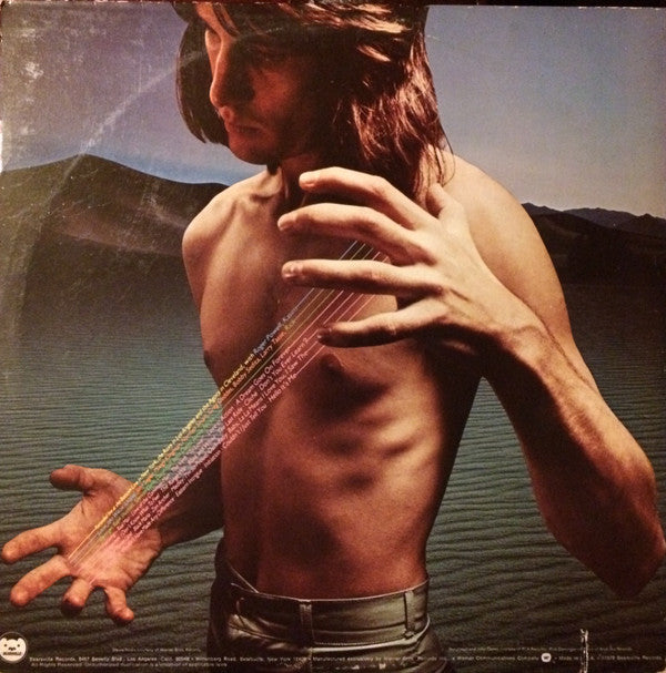 Todd Rundgren : Back To The Bars (2xLP, Album, Gol)