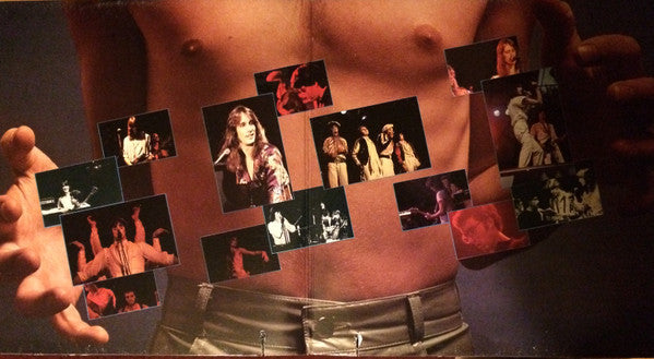 Todd Rundgren : Back To The Bars (2xLP, Album, Gol)