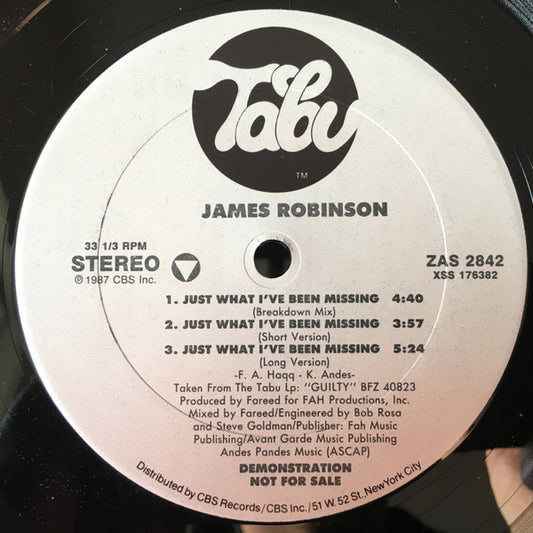 James Robinson : Just What I've Been Missing (12", Promo)