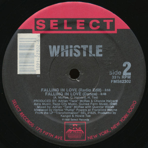 Whistle : Falling In Love (12")