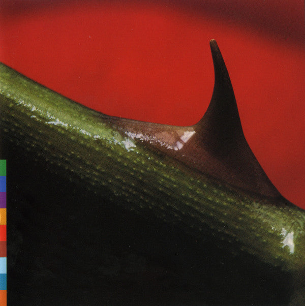 Nusrat Fateh Ali Khan & Michael Brook : Night Song (CD, Album)