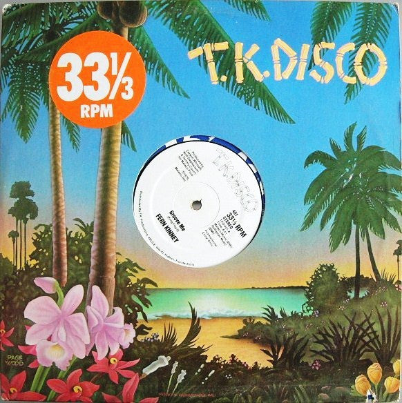 Fern Kinney : Groove Me (12", Promo)