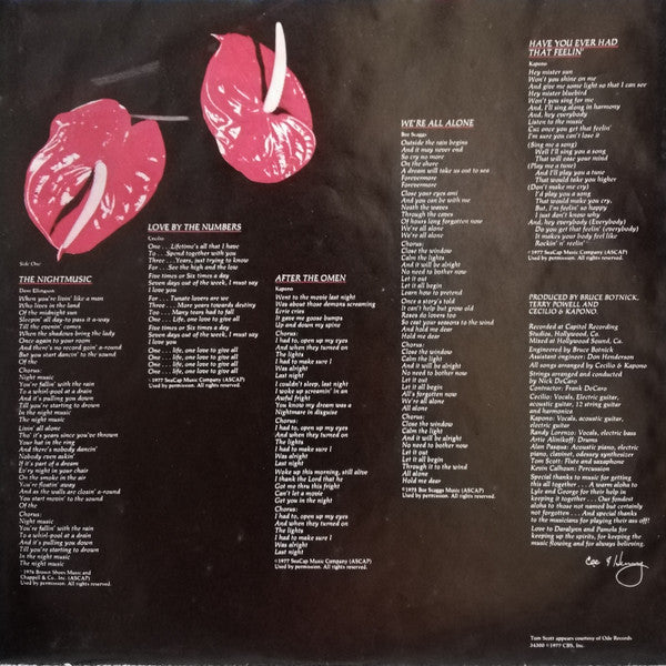 Cecilio & Kapono : Night Music (LP, Album)