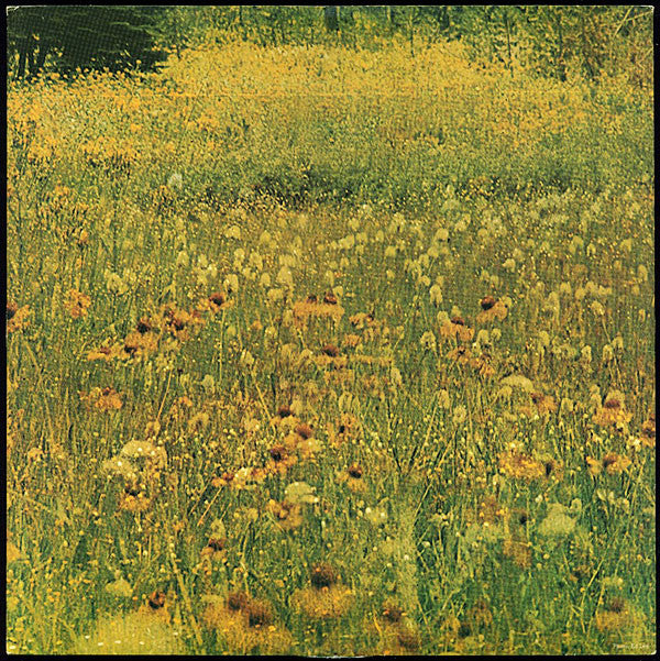 Harold Melvin & The Blue Notes* : Wake Up Everybody (LP, Album, San)
