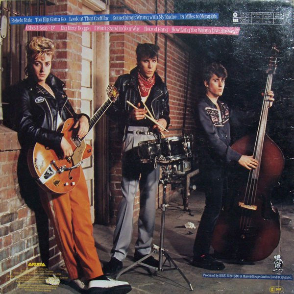 Stray Cats : Rant N' Rave With The Stray Cats (LP, Album)